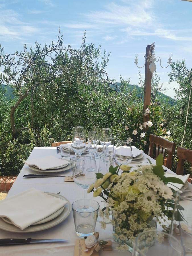 Monte A Pescia Villa Kültér fotó