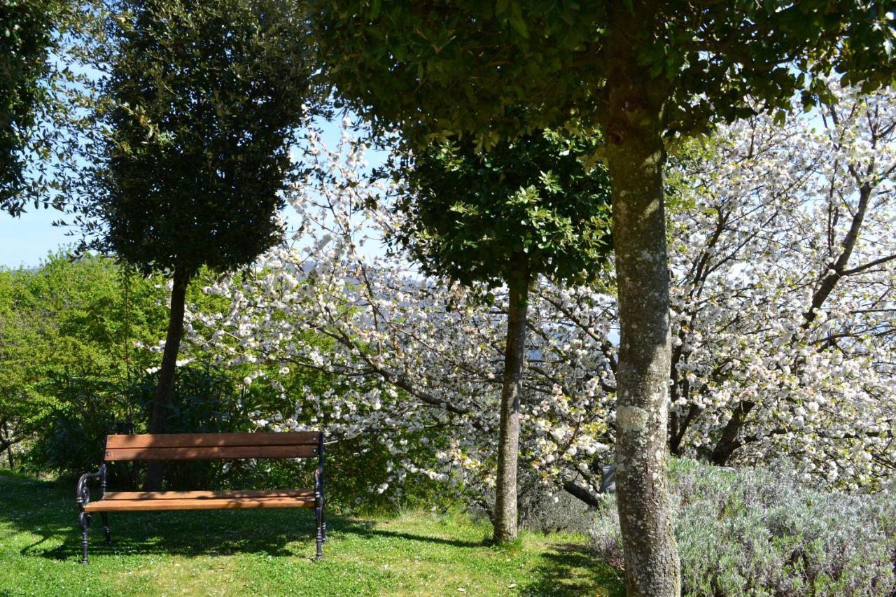 Monte A Pescia Villa Kültér fotó